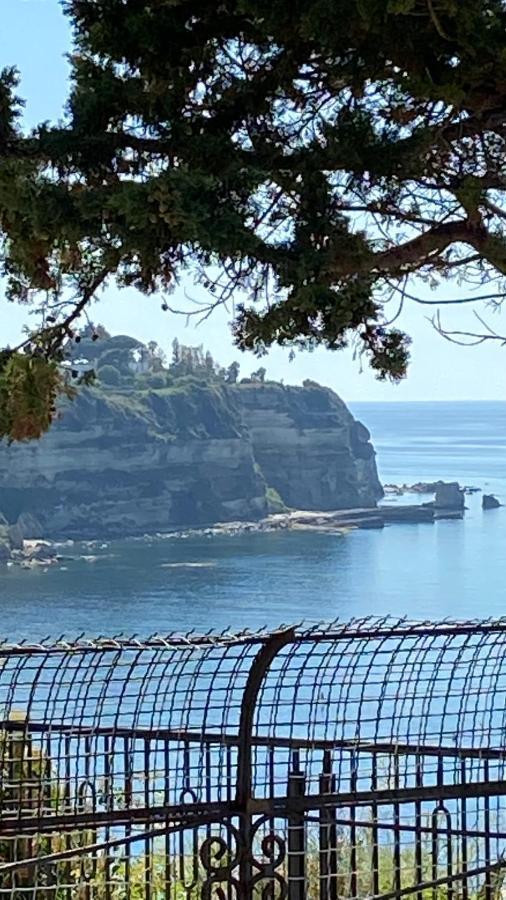 Caia Tropea